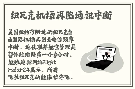 可播放的STEVEHOPPER